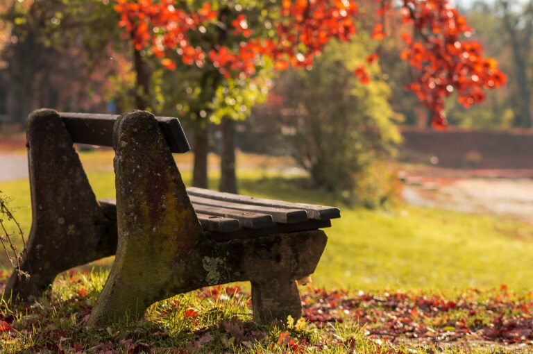 The Rise of Green Electronics: Eco-Friendly Gadgets for Tech Enthusiasts