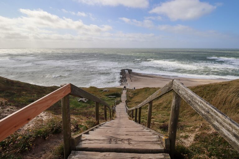 The Future of Electric Transportation in Travel: From E-Bikes to Electric Planes