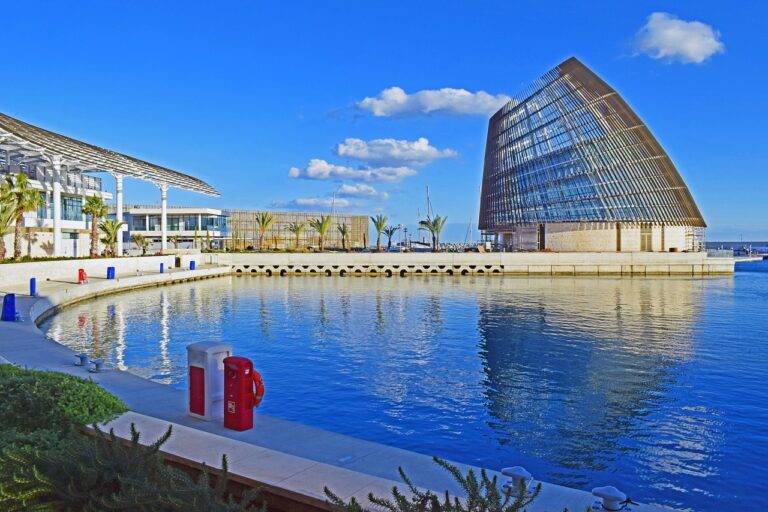 Exploring the World’s Longest Hiking Trails: Epic Journeys Through Stunning Landscapes