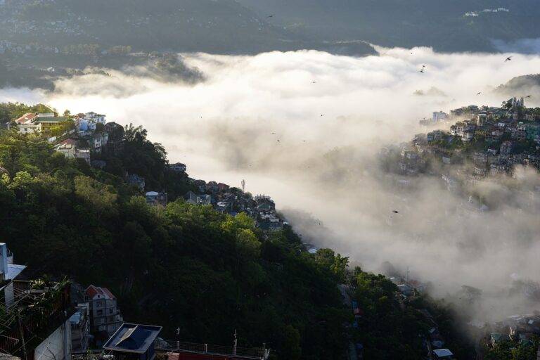 Election Results and Their Impact on Labor Policy