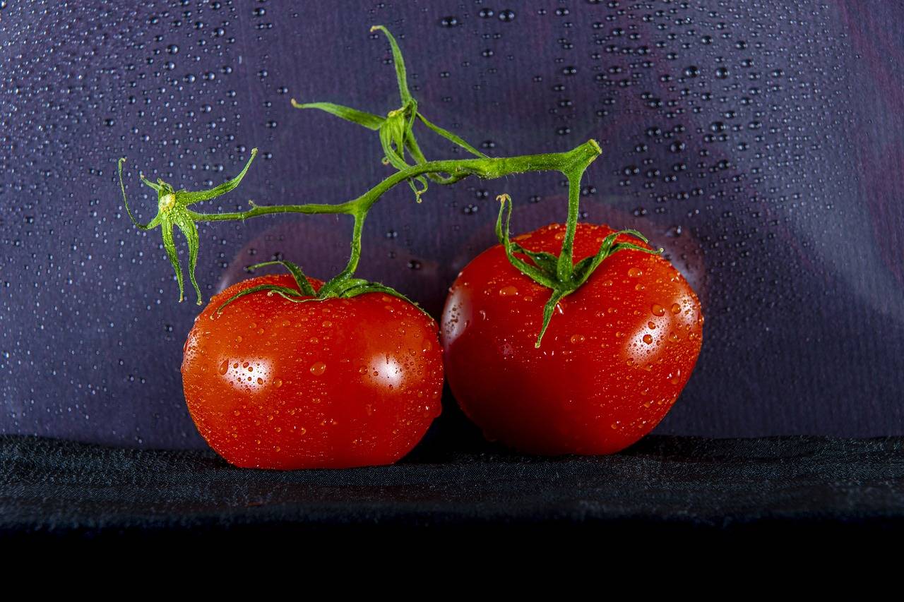 The Impact of Social Media on Body Image and Self-Esteem