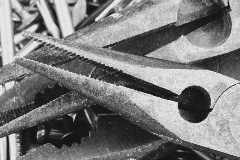 Creating a Cat-Friendly Garden: Designing Safe and Stimulating Spaces for Feline Friends